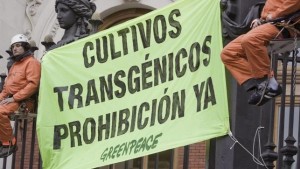 Activistas-Greenpeace-campanas-transgenicos_EDIIMA20160701_0073_4